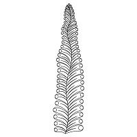 feather tree 003